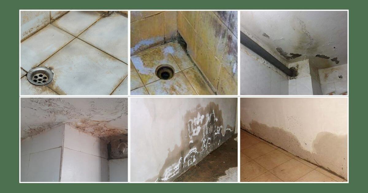 những dầu hiệu nhận biết bị thấm